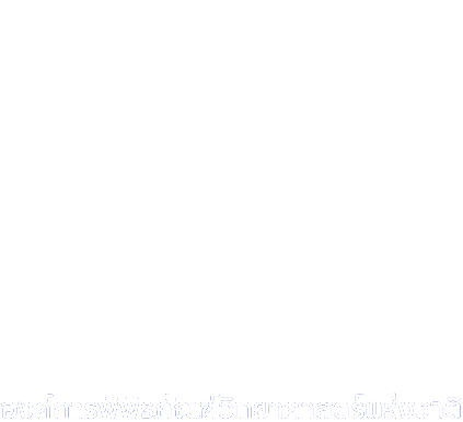 NSM Logo